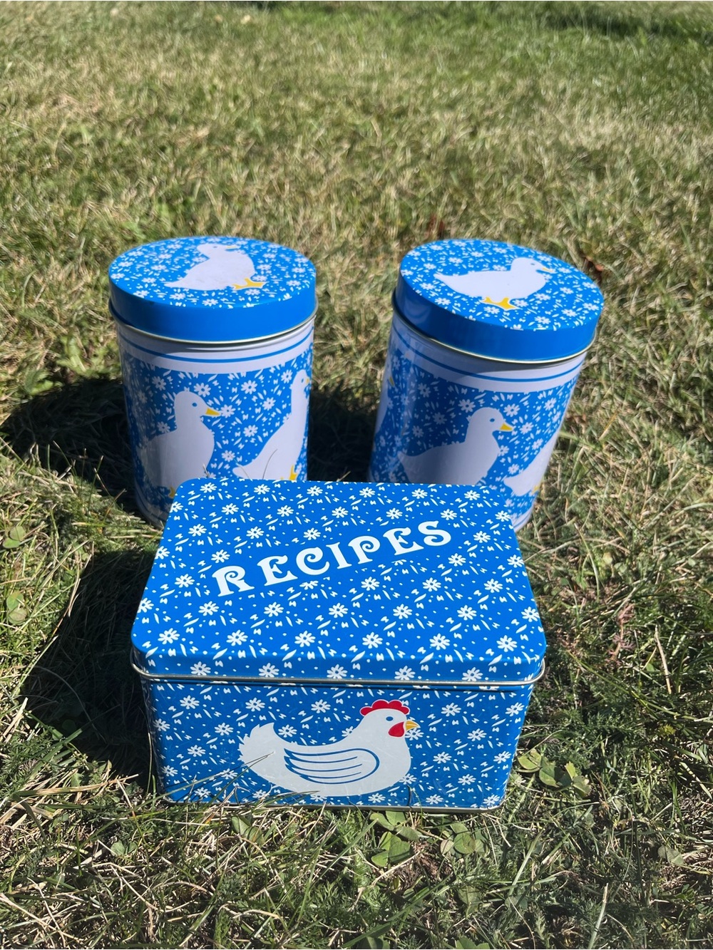 Blue Chicken Recipe Tin Set with Matching Canisters